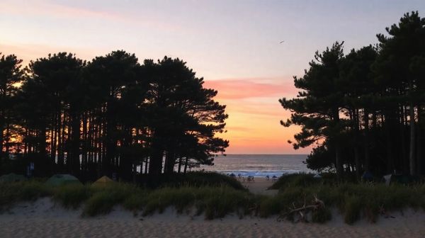 Top destinations de camping à Royan pour vos estivales
